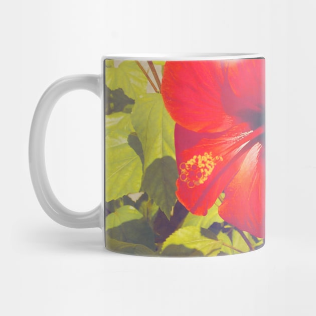 Pretty Red Flower with green leaves nature lovers beautiful photography design by BoogieCreates